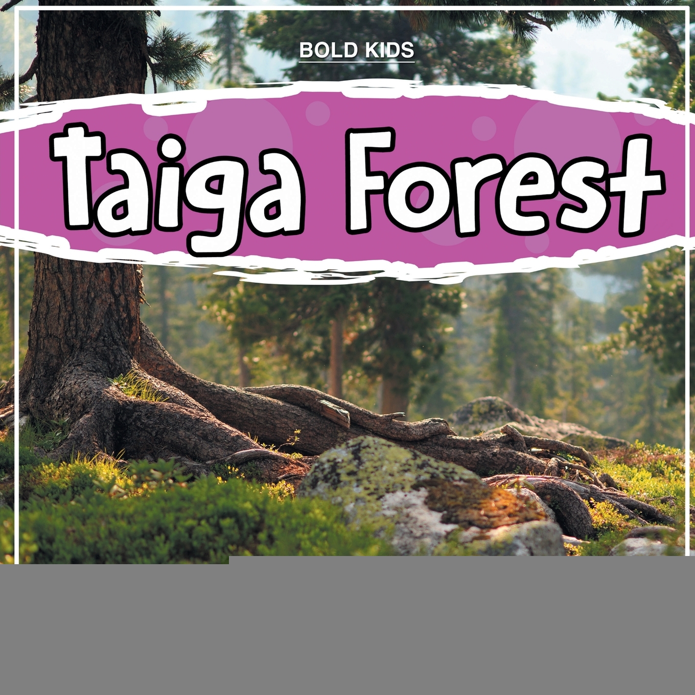 预售按需印刷 Taiga Forest