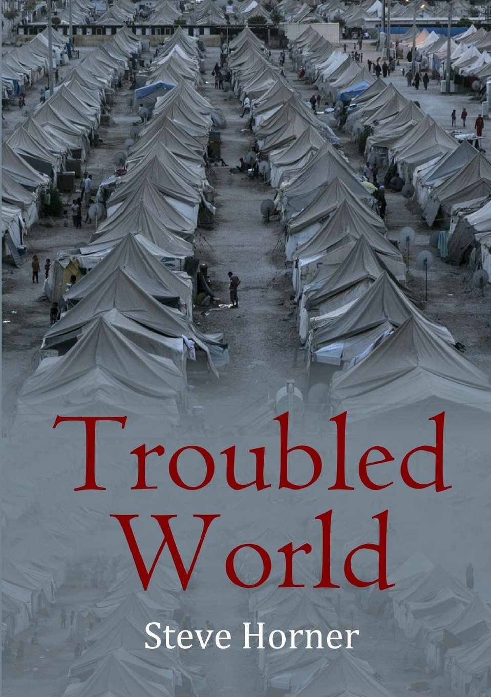 预售 按需印刷 troubled world