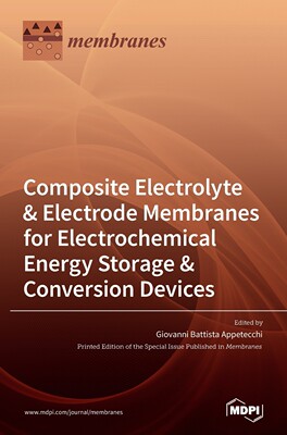 预售 按需印刷 Composite Electrolyte & Electrode Membranes for Electrochemical Energy Storage & Conversion Devices