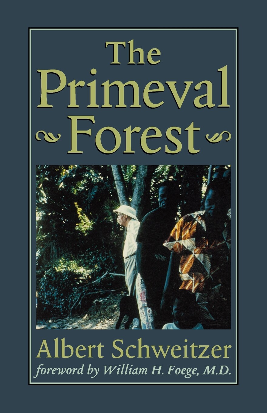 预售 按需印刷  the primeval forest
