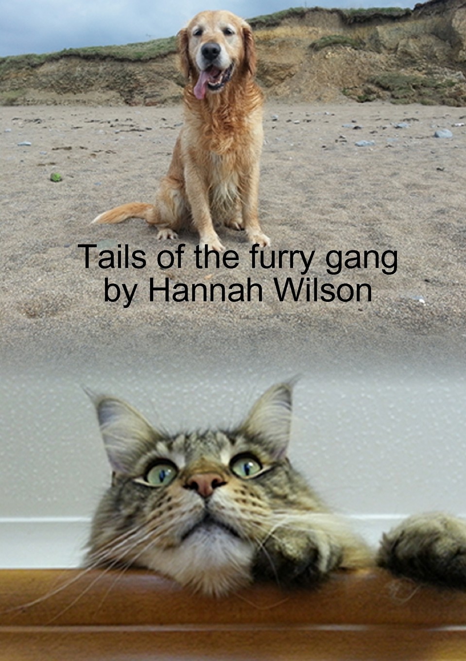 预售 按需印刷 tails of the furry gang