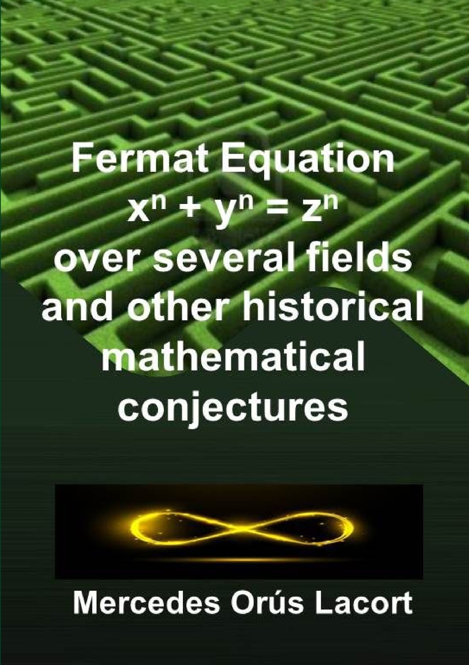 【预售按需印刷】Fermat Equation over several fields and other historical mathematical conjectures-封面