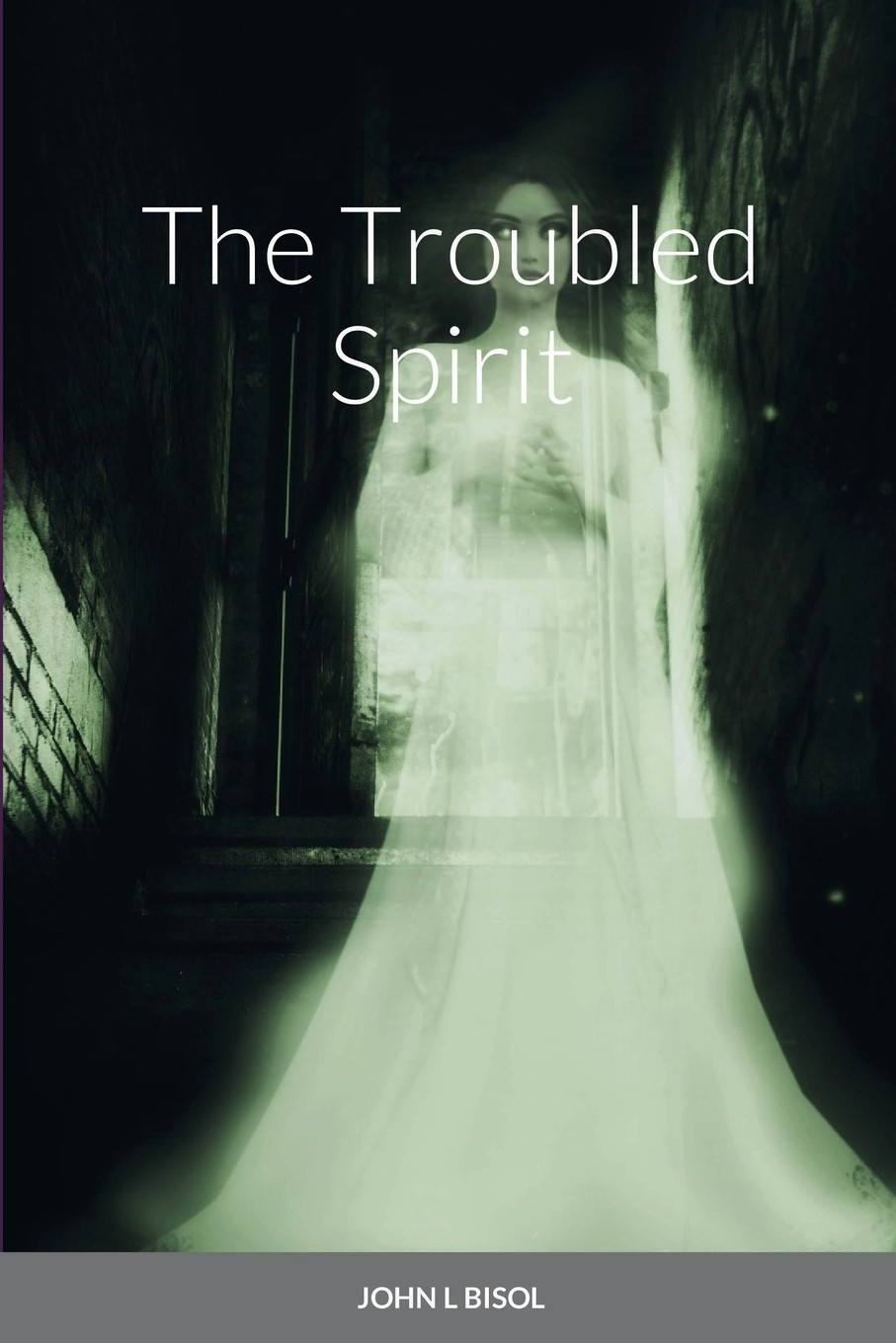 预售 按需印刷 the troubled spirit