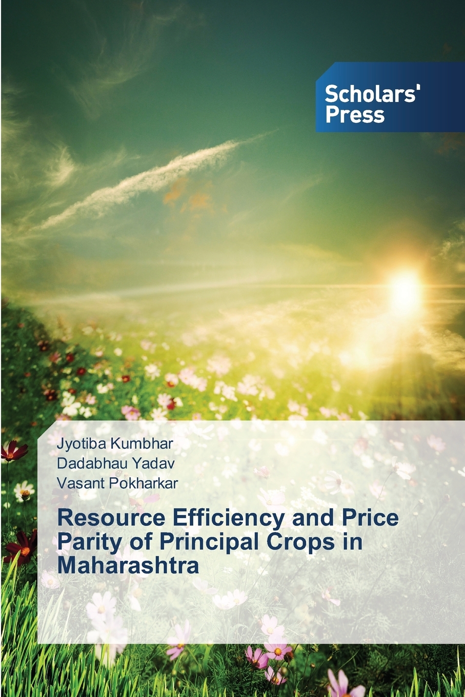 预售按需印刷 Resource Efficiency and Price Parity of Principal Crops in Maharashtra