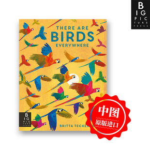 英文原版 随处可见的鸟类 There are Birds Everywhere 精装艺术插画绘本 自然知识科普 6岁以上 进口儿童图书