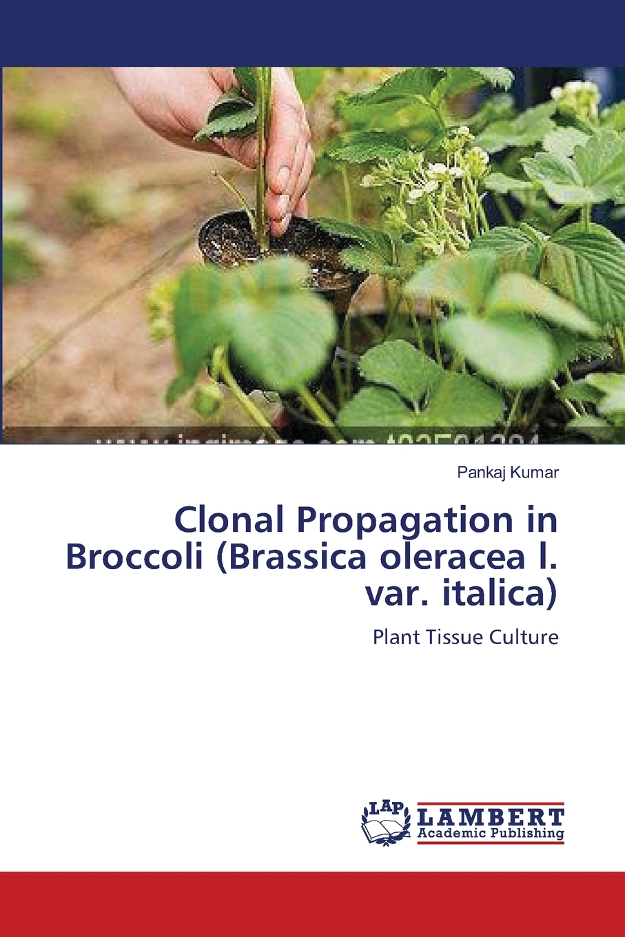 【预售按需印刷】Clonal Propagation in Broccoli(Brassica oleracea l. var. italica)