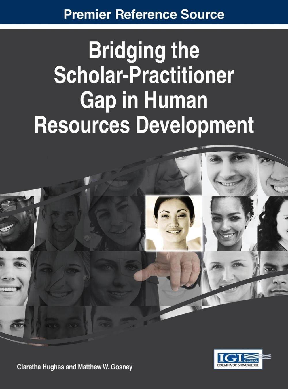 【预售 按需印刷】bridging the scholar-practitioner gap in human