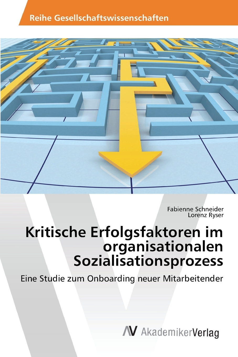 预售按需印刷Kritische Erfolgsfaktoren im organisationalen Sozialisationsprozess德语ger