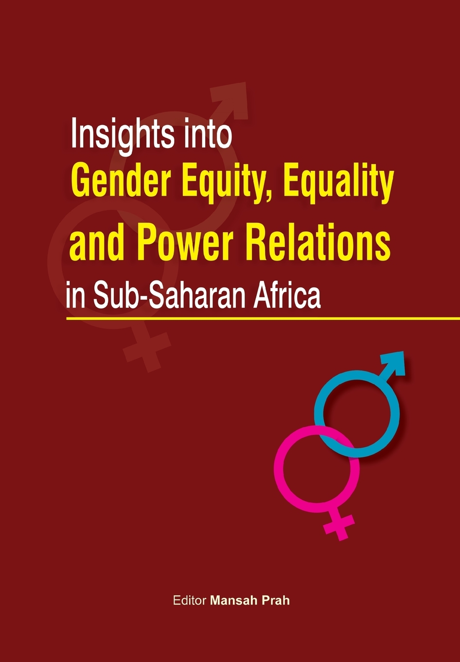 预售按需印刷Insights into Gender Equity Equality and Power Relations in Sub-Saharan Africa