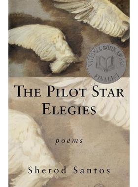 预售  The Pilot Star Elegies