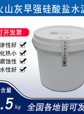 火山灰硅酸盐早强水泥PP325R国标混凝土砂浆试验自流平快干膨胀修