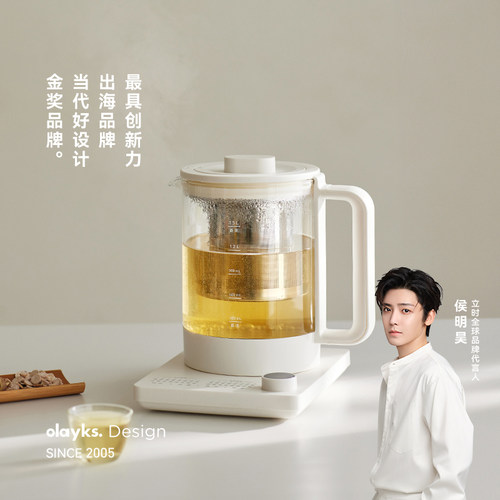 olayks养生壶办公室家用煮茶烧水