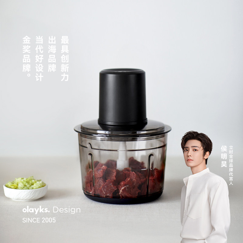 olayks立时绞肉机家用小型电动碎肉打馅蒜泥多功能全自动搅拌机