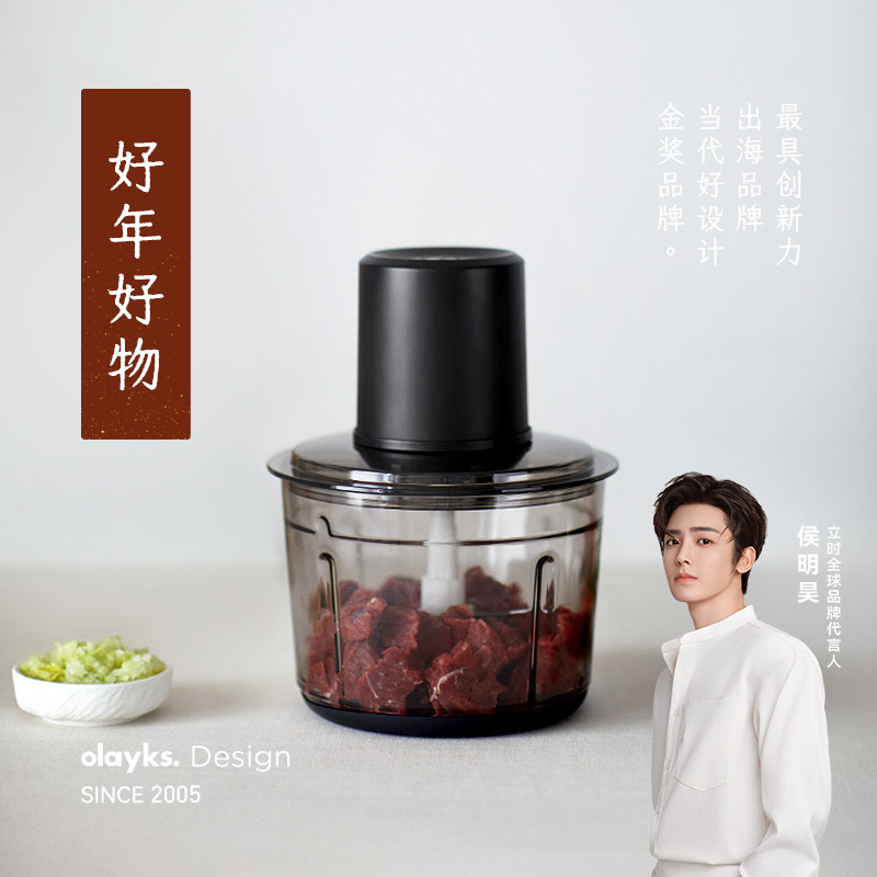 olayks立时绞肉机家用小型电动碎肉打馅蒜泥多功能全自动搅拌机