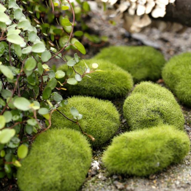 stone moss miniature dollouse garden craft fairy bonsai plan