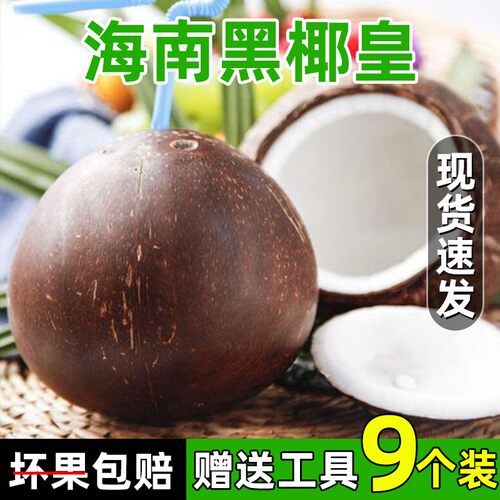 海南东郊黑壳椰皇新鲜