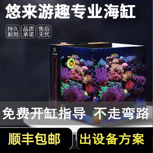游来游去背滤海水缸珊瑚缸