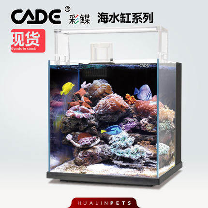 送礼品 彩鲽cade彩蝶海水背滤鱼缸 超白珊瑚鱼缸适用桌面客厅背滤
