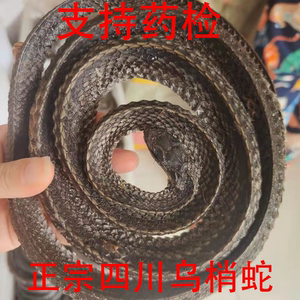 正宗乌梢蛇四川乌蛇100g大条全开无肠正品整条干货泡酒料支持药检