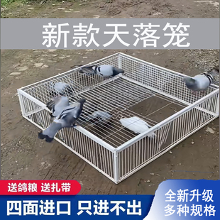 鸽子笼神器进门笼有进无出回收笼跳笼门升级款只进不出笼加厚家用
