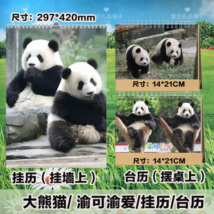 大熊猫渝可渝爱2026年台历挂历定制花花福宝萌兰小奇迹日历小摆件