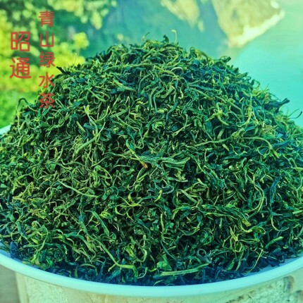 昭通农产品特色苦丁茶嫩芽正宗高山青山绿水茶250g散装明前绿茶