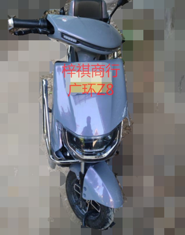 廣環(huán)Z8新國標電動車外殼配件電瓶車殼全套火山紫烤漆件金箭歐派特