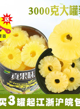 徐闻菠萝罐头真果味湛江圆片烘焙
