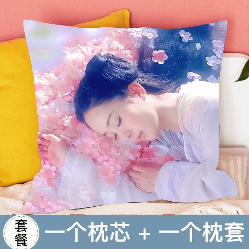 赵丽颖抱枕双面生日礼物办公室靠垫车载玩偶超软ins风高颜值定制