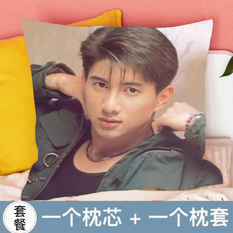 吴奇隆抱枕周边应援公仔摆件车载创意礼物办公室沙发靠垫枕头休息