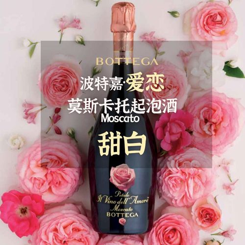 意大利进口Bottega/波特嘉爱恋