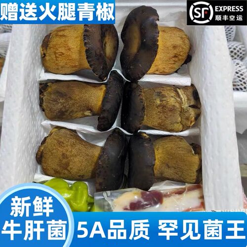 云南新鲜黑牛肝菌见手青无毒
