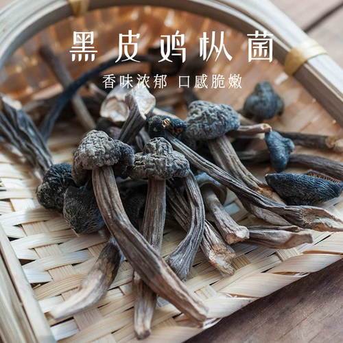 黑皮鸡枞人工挑选火锅食材鸡枞菌