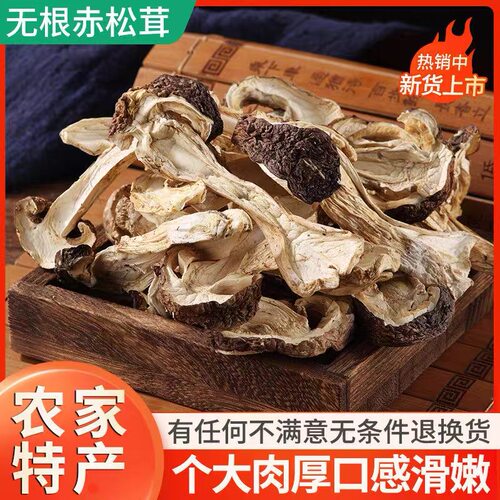 云南特产雪山赤松茸赤松茸煲汤