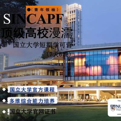 27新加坡游学夏令营新加坡国立大学青年领袖营