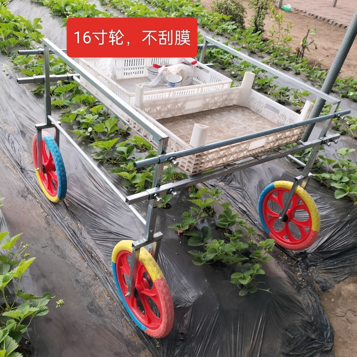 新农用运输车轻便型宽窄可调节彩色轮子不刮膜草莓采摘车农户专用,农机/农具/农膜,其它农用工具,淘宝优惠券,粉丝福利购,淘宝优惠卷
