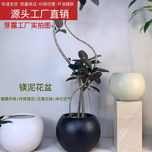 高颜值ins风镁泥圆球形家居办公室简约黑金刚千年木落地大型花盆