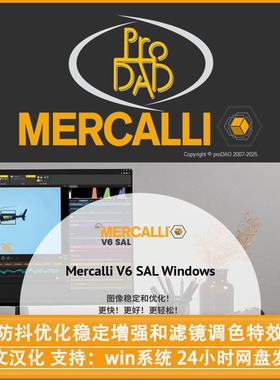 中文视频防抖优化稳定增强和滤镜调色特效软件ProDADMercalli SAL