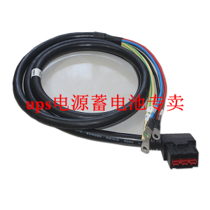 SANTAK山特UPS主机电池线 用于机架式 灵霄PT3000 6-10KS 原厂