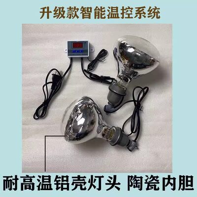 智能控温加热恒温保暖