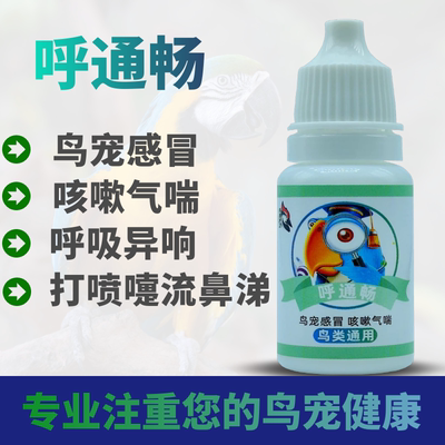 鹦鹉鸽子感冒咳嗽喷嚏呼吸道