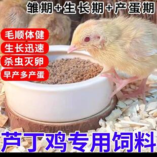 芦丁鸡专用饲料育雏饲料宠物幼鸡开口粮面包虫蛋多多高蛋白产蛋料