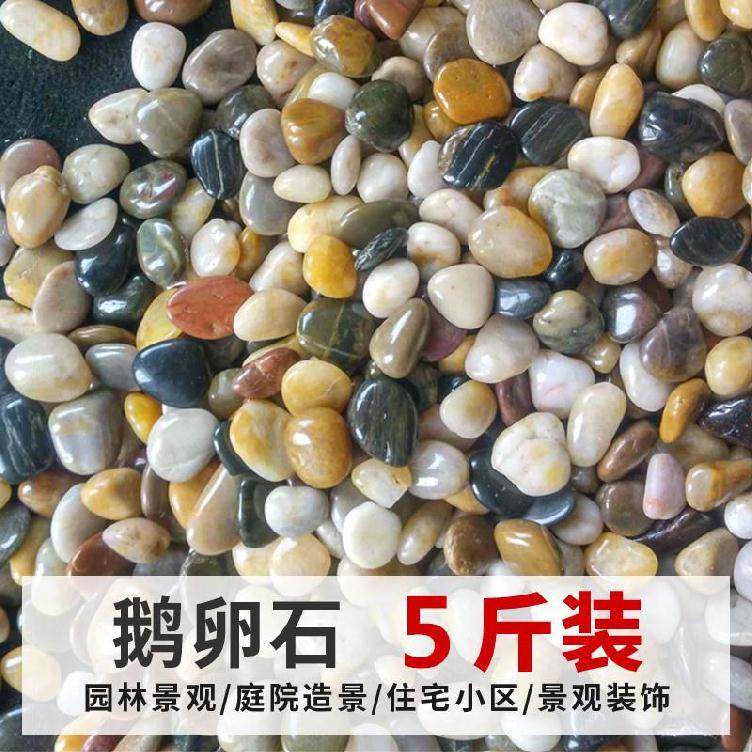 綠植黑色小碎石子裝飾盆栽陽台地板鵝卵石盆景盆魚缸石頭養魚黑白在類目 鮮花速遞/花卉仿真/綠植園藝, 園藝用品, 其它園藝用品中 - 來自Buy2taobao.com提供專業的淘寶代購服務