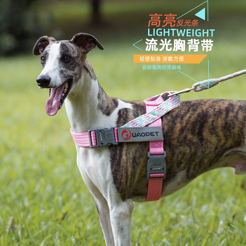 防爆冲宠物狗狗背带胸背带