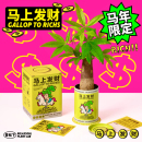 青松下 发财树盆栽室内办公桌绿植情绪植物好养创意礼物 马上发财