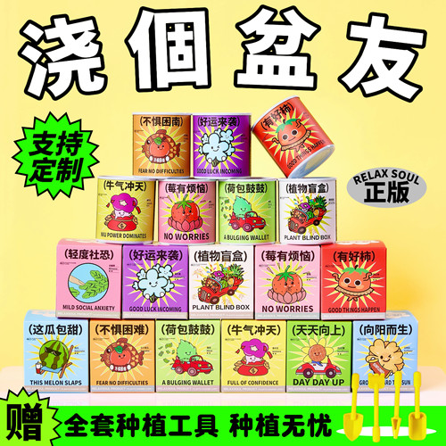 浇个盆友植物罐头创意盆栽