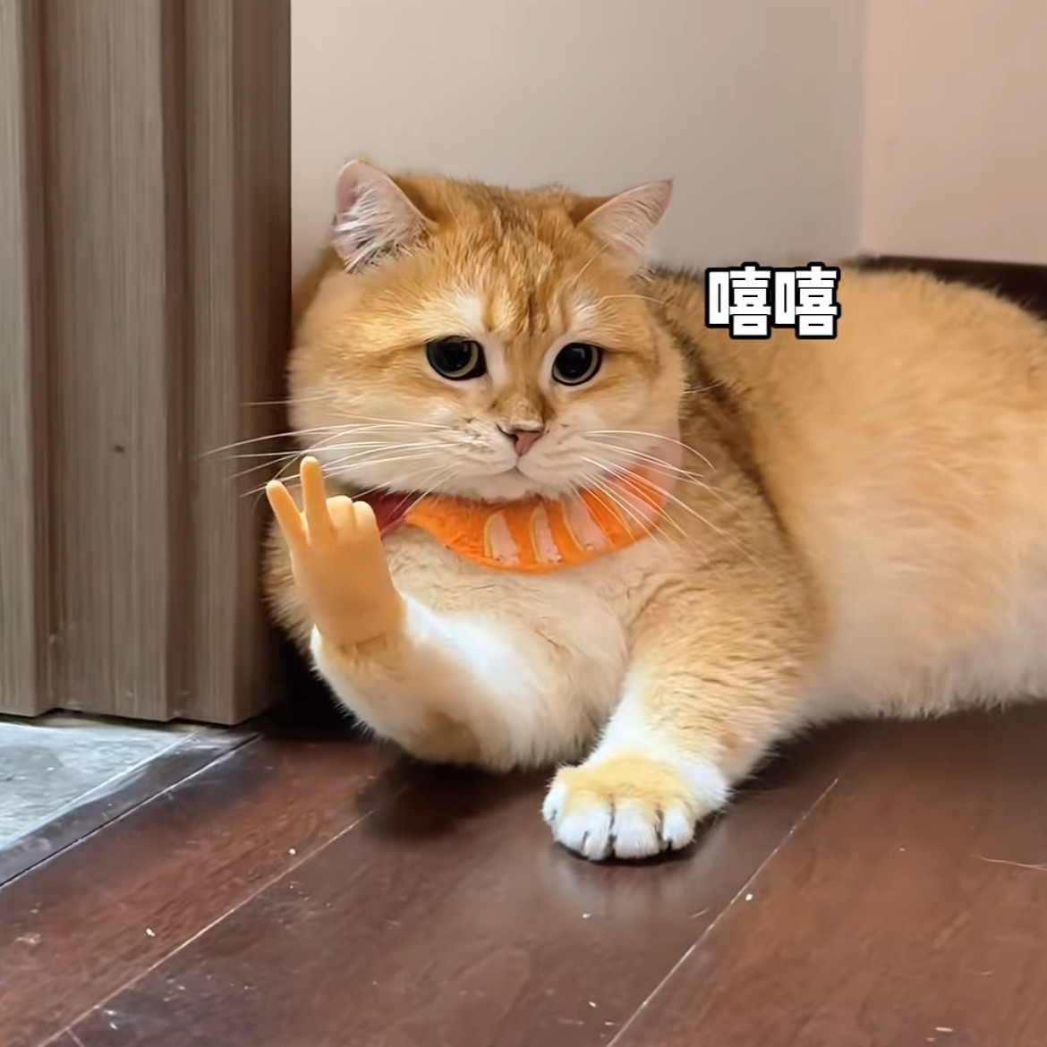 猫咪手指笔耶道具手套小手手掌迷你整蛊逗猫戴摆玩具搞怪指偶