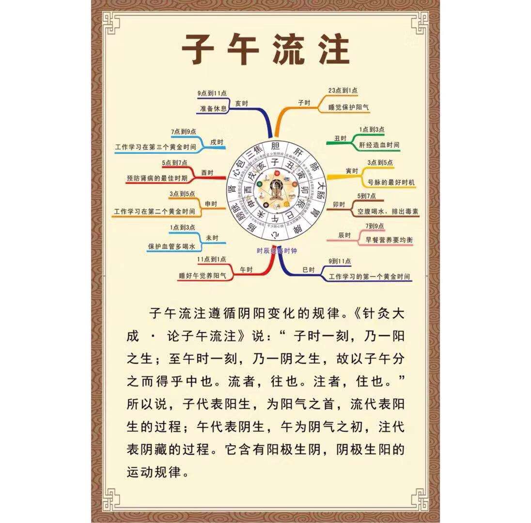 十二时辰子午流注图解中医养生文化墙贴画海报宣传画理疗挂图广告