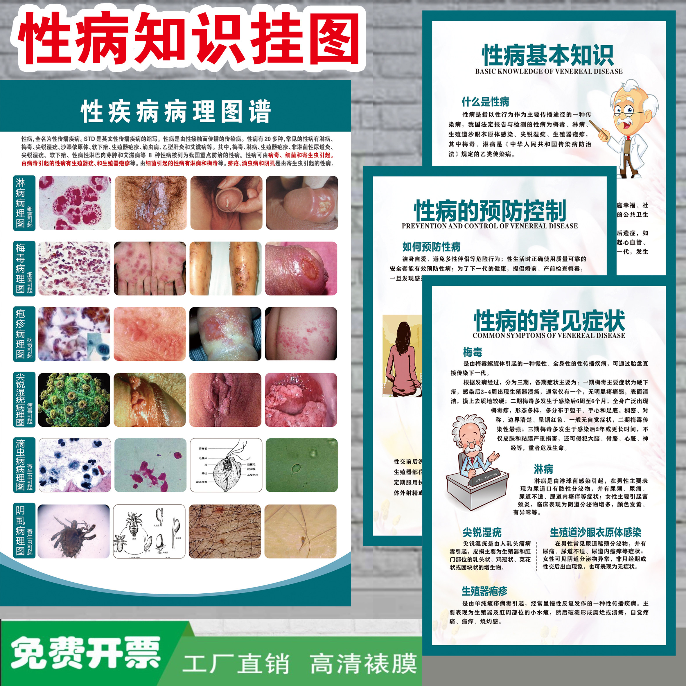 人体皮肤性病淋病梅毒尖锐湿疣滴虫阴虱病理图谱知识海报挂图贴画