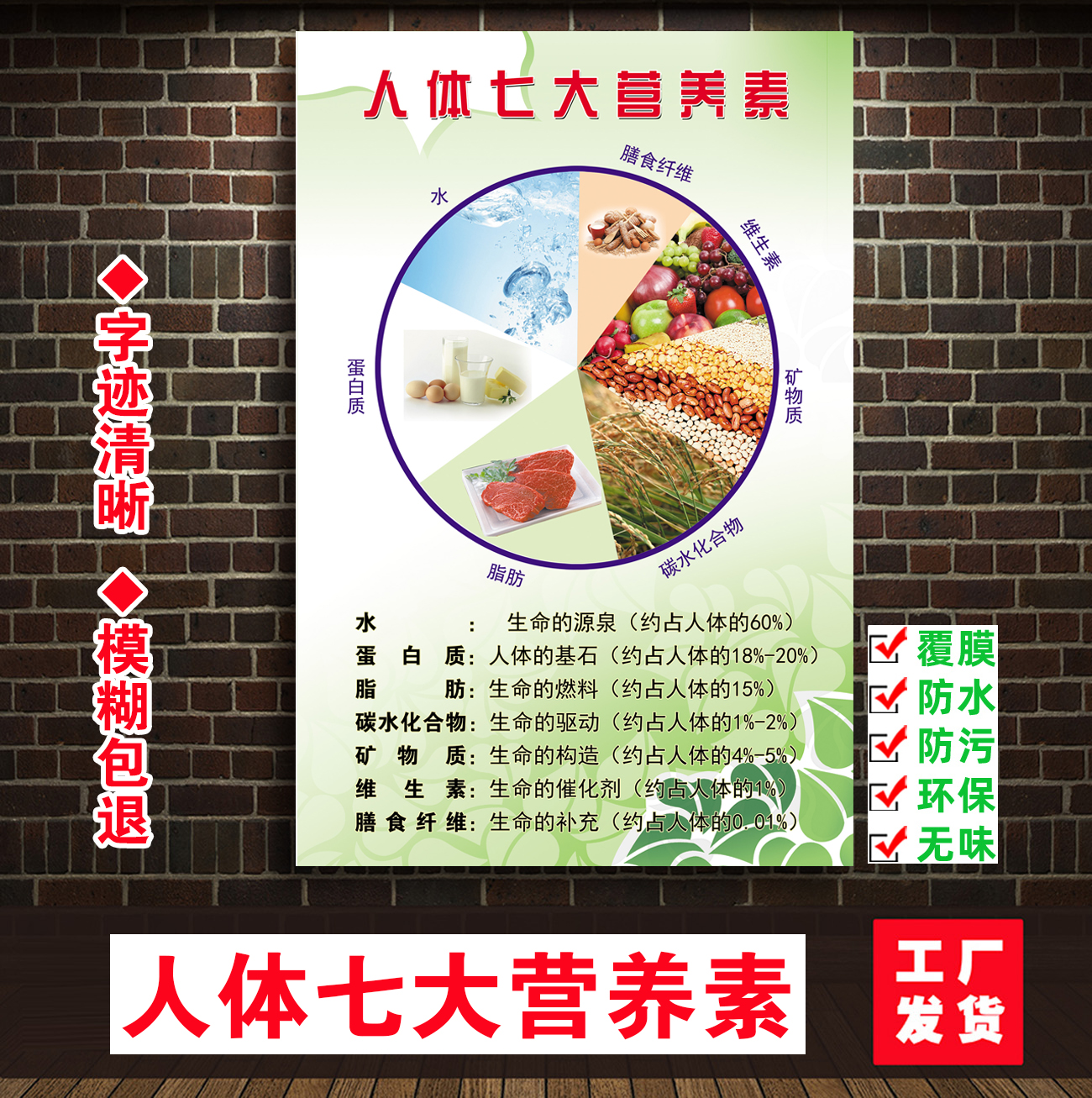 人体七大营养素膳食平衡八准则食物嘌呤含糖量肥胖减重挂图墙贴